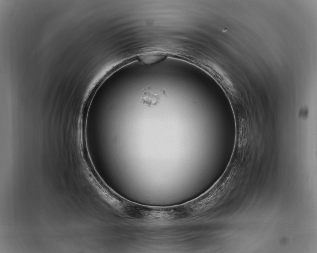 X0000100340796200806121149