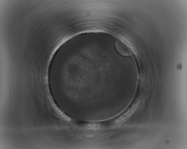 X0000100340797200806121149