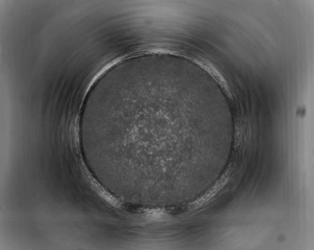 X0000100340798200806121149