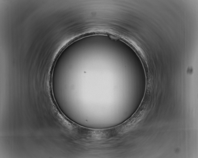 X0000100340799200806121149