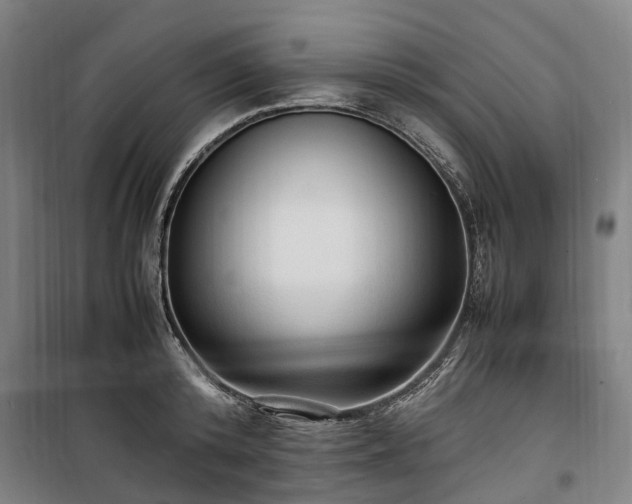 X0000100340800200806121149