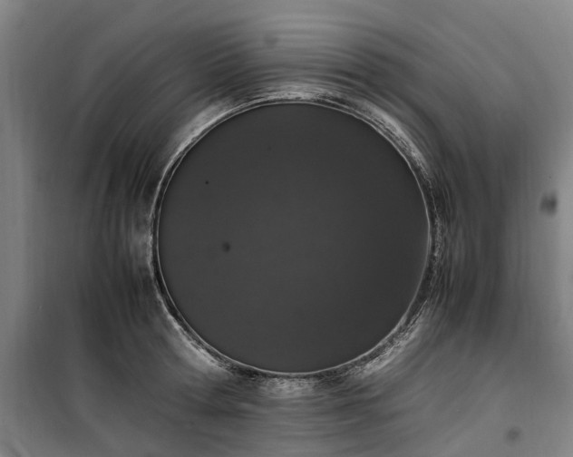 X0000100340802200806121149