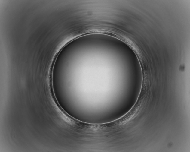 X0000100340803200806121149