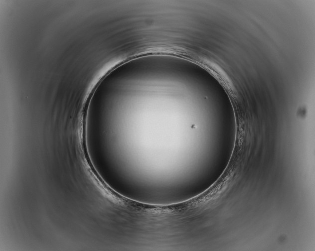 X0000100340804200806121149