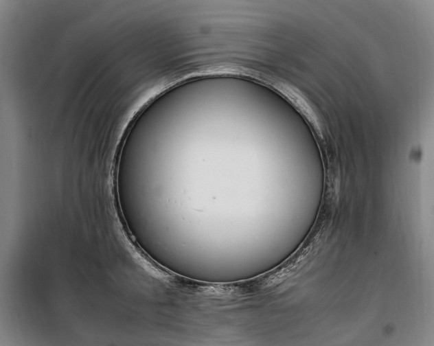 X0000100340805200806121149