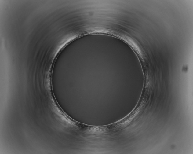 X0000100340806200806121149