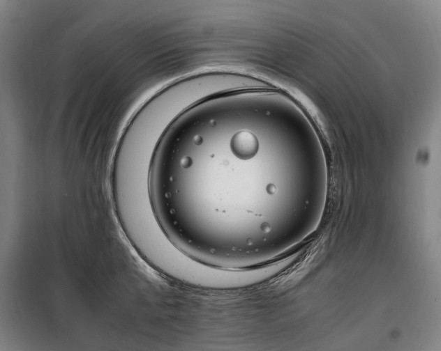 X0000100340807200806121149