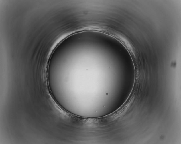 X0000100340808200806121149