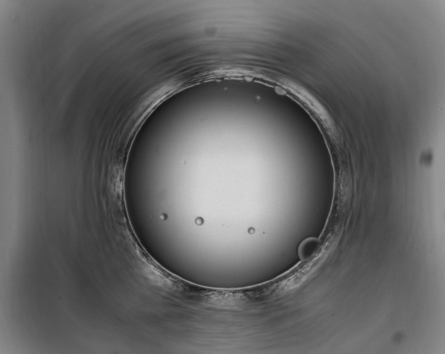 X0000100340809200806121149