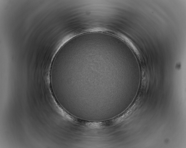 X0000100340810200806121149