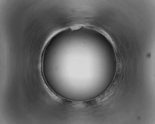 X0000100340811200806121149