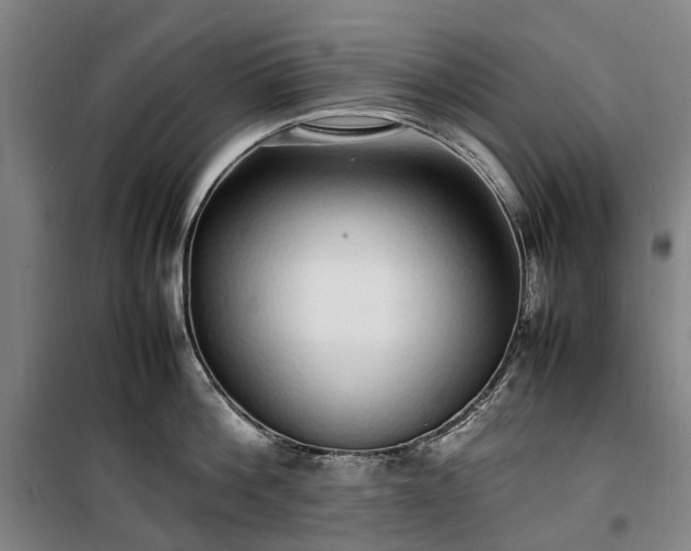 X0000100340812200806121149