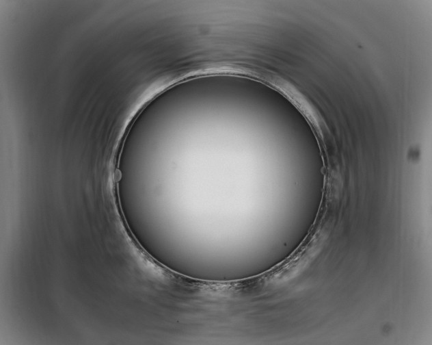 X0000100340813200806121149