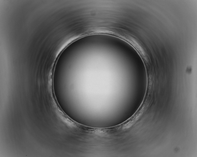 X0000100340814200806121149