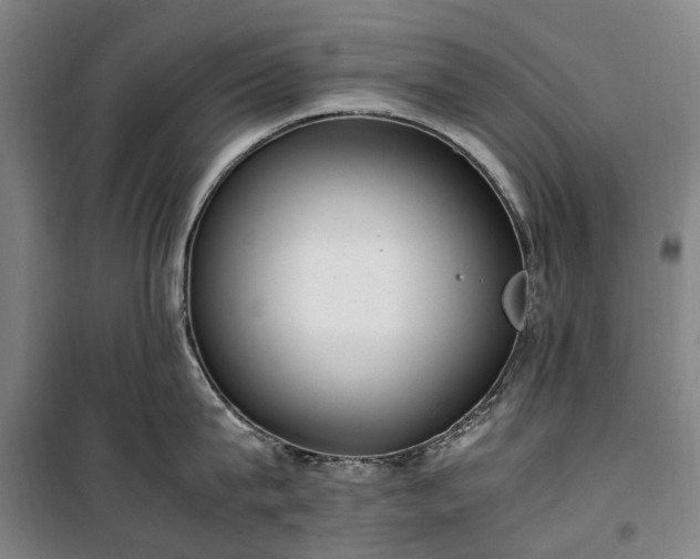 X0000100340815200806121149