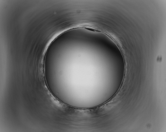 X0000100340816200806121149