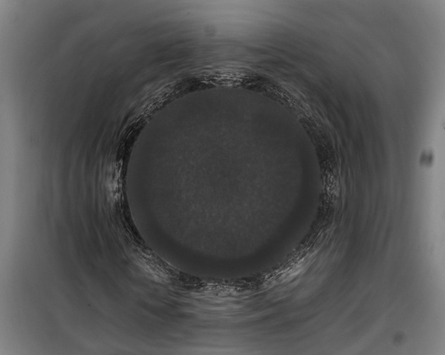 X0000100340818200806121148