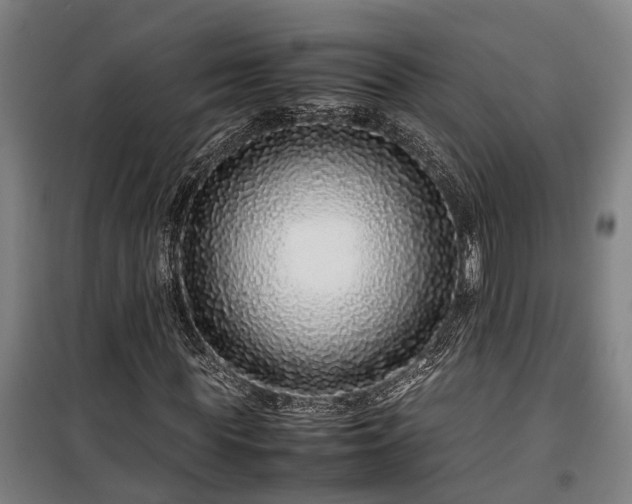 X0000100340819200806121148