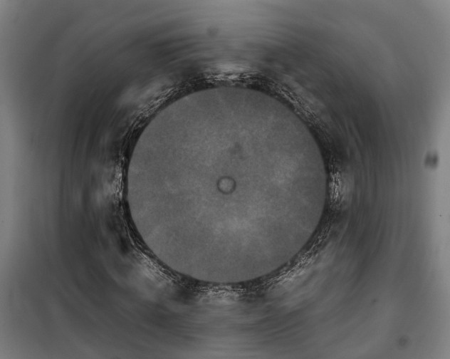 X0000100340820200806121148