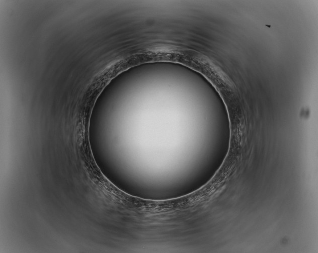 X0000100340821200806121148