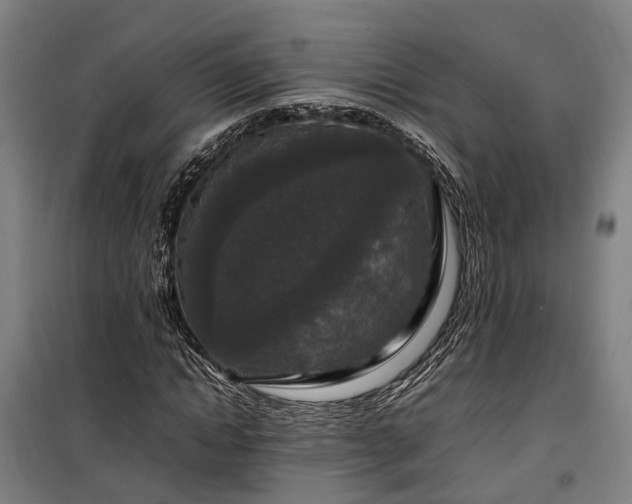 X0000100340822200806121148