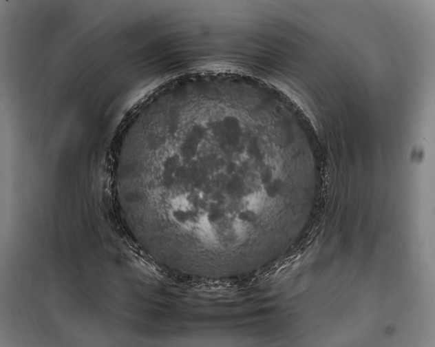 X0000100340823200806121148