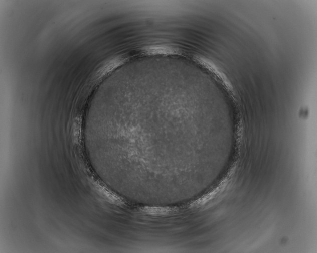 X0000100340825200806121148