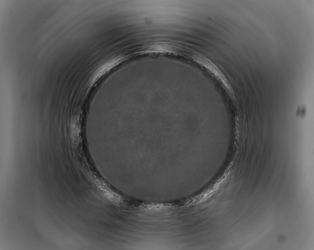 X0000100340826200806121148