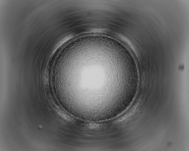 X0000100340827200806121148