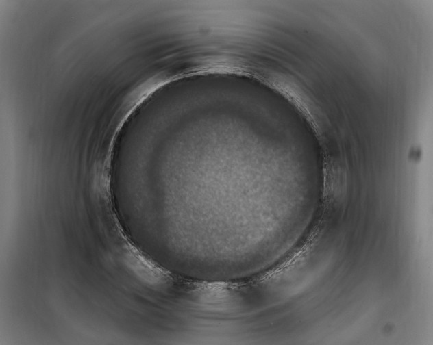 X0000100340828200806121148