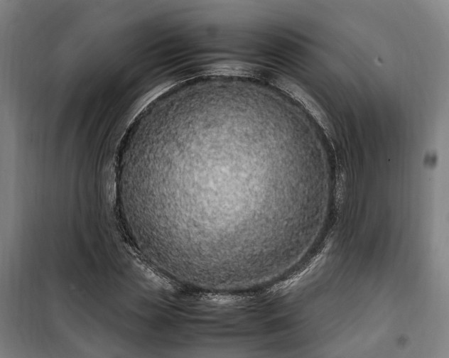 X0000100340829200806121148