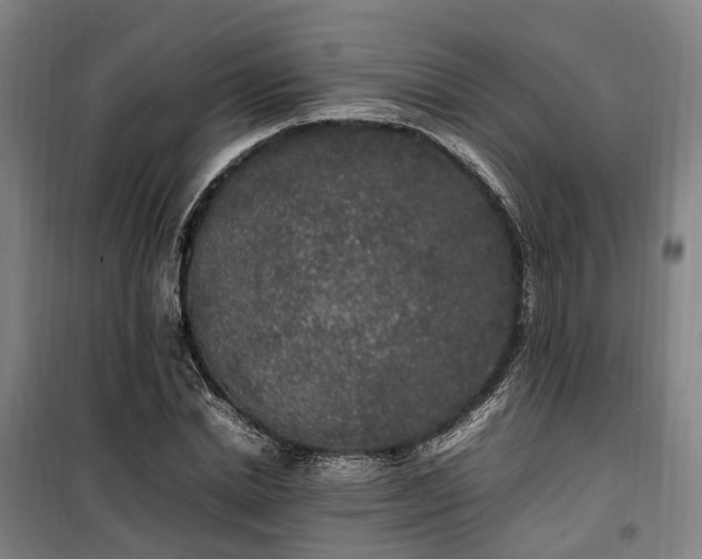 X0000100340830200806121148