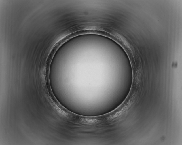 X0000100340831200806121148