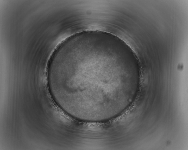 X0000100340832200806121148