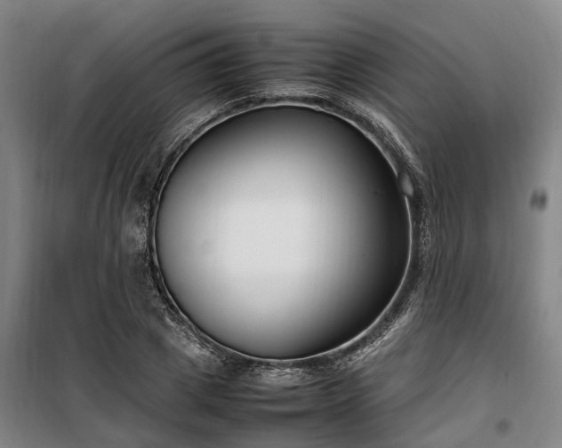 X0000100340833200806121148