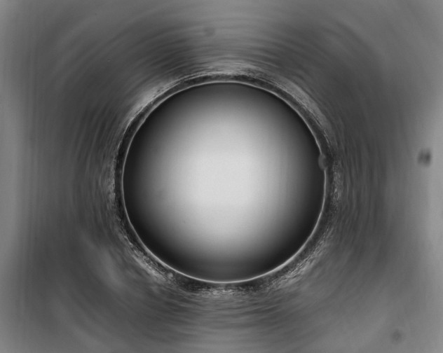 X0000100340834200806121148