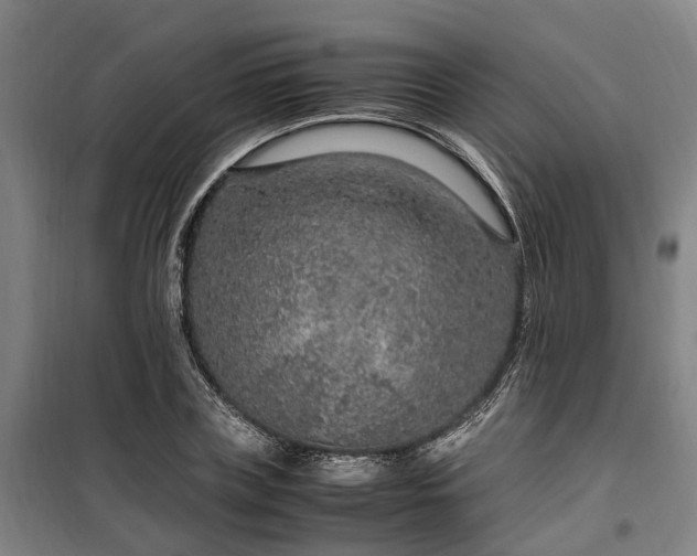 X0000100340835200806121148