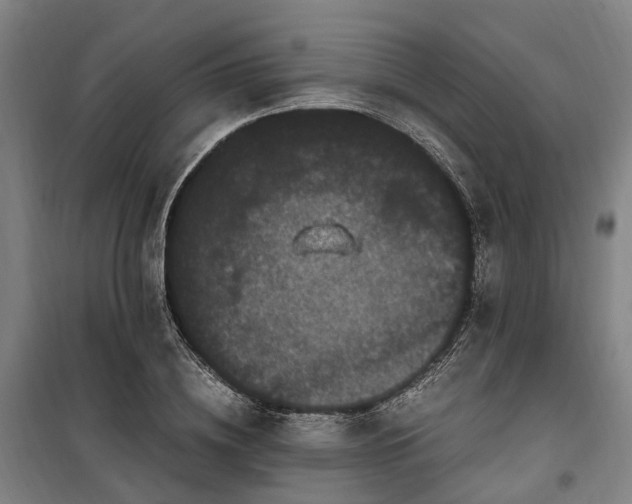 X0000100340836200806121148