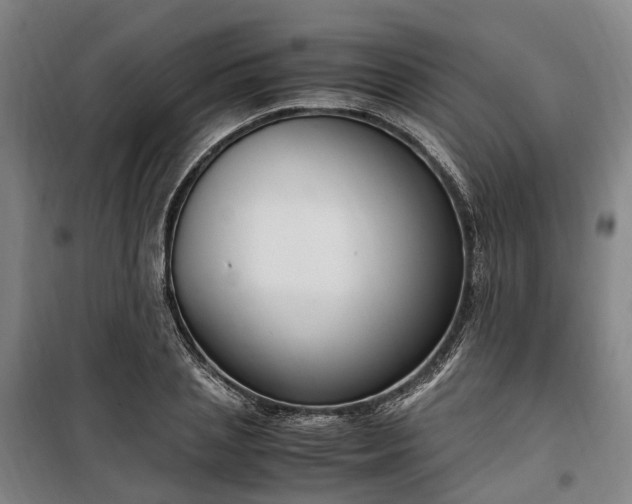 X0000100340837200806121148