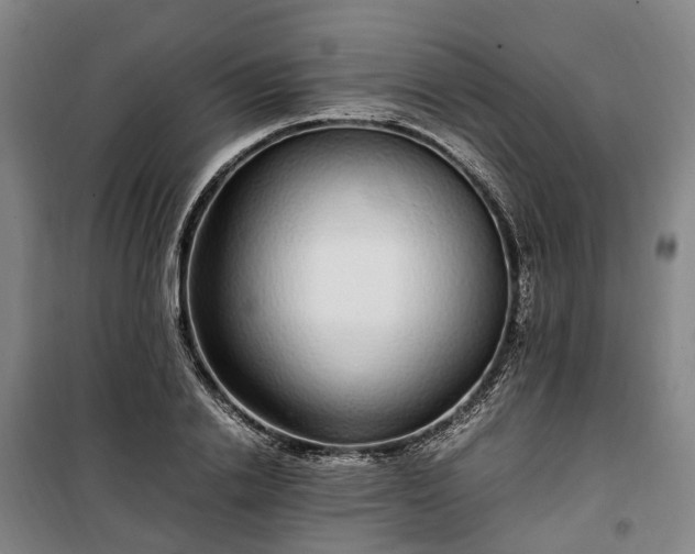 X0000100340838200806121148