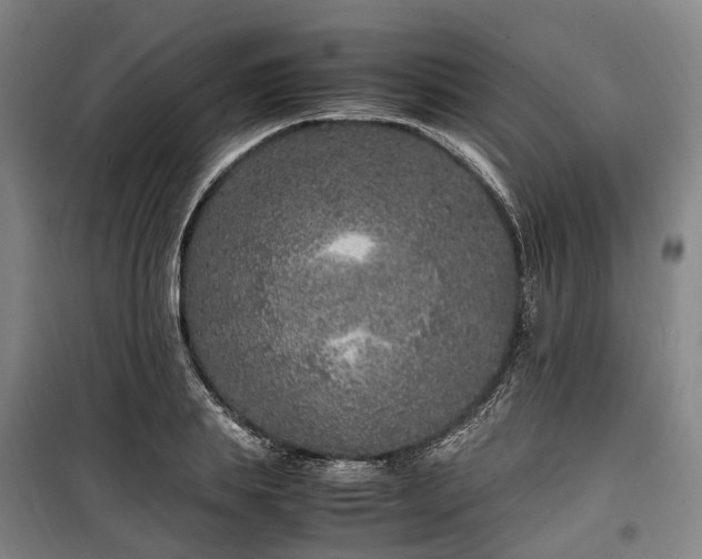 X0000100340839200806121148