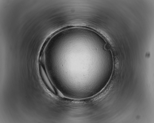 X0000100340840200806121148