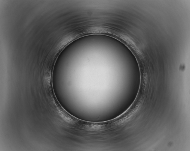 X0000100340841200806121148