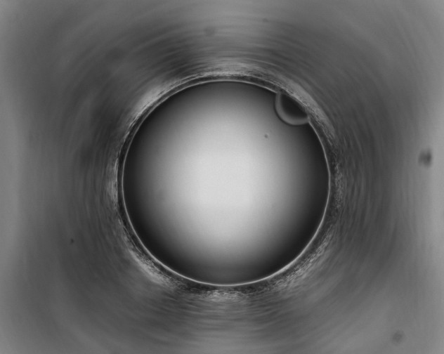 X0000100340842200806121148