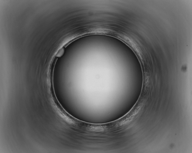 X0000100340843200806121148