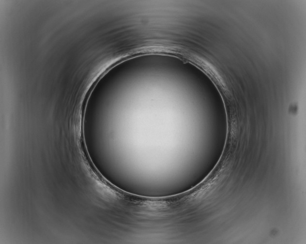 X0000100340844200806121148