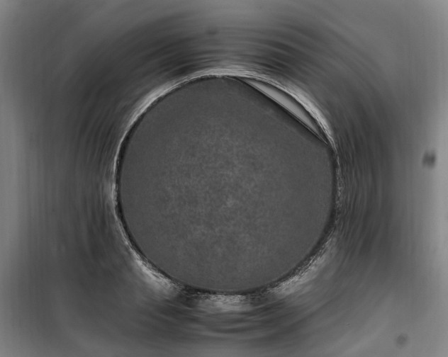 X0000100340845200806121148