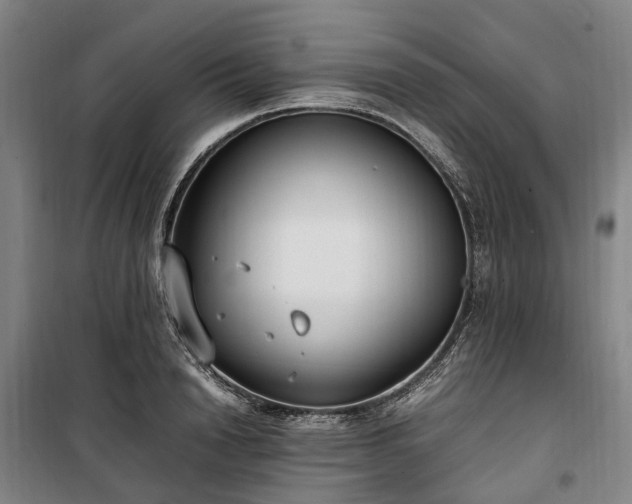 X0000100340846200806121148