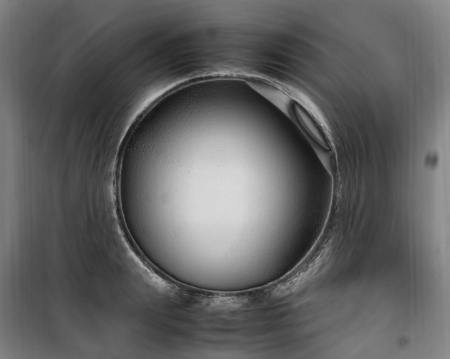 X0000100340847200806121148