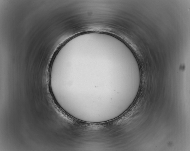 X0000100340848200806121148